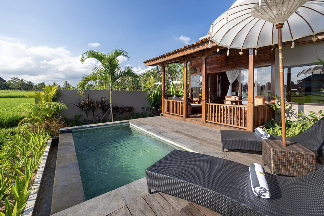 Paddy View Wooden Pool Villa