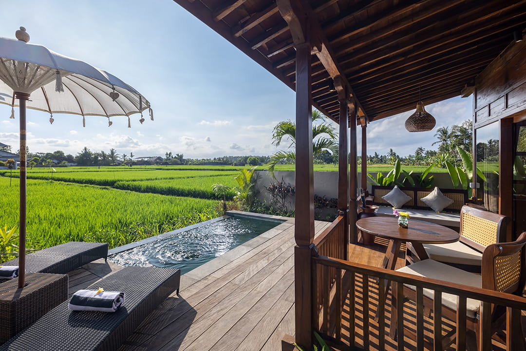 Paddy View Wooden Pool Villa